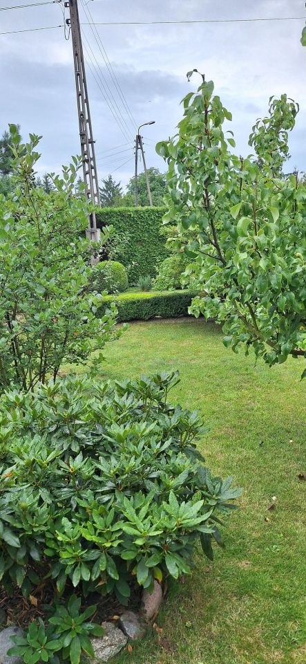 Działka rod Bydgoszcz Szwederowo. Zdjęcie 8