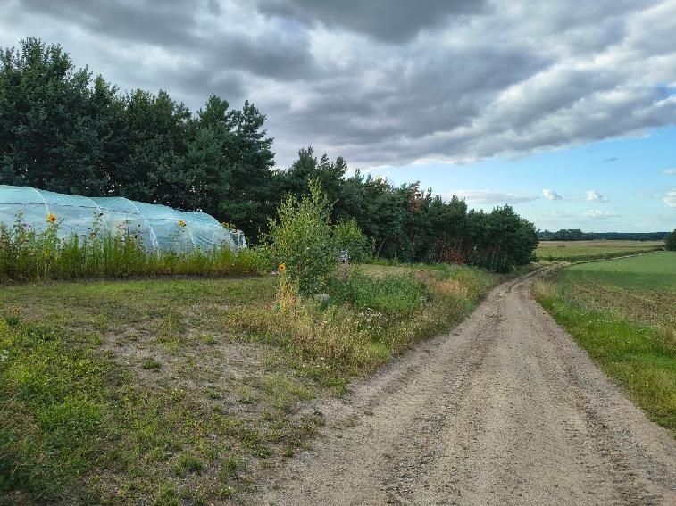 Działka budowlana Brzostów. Zdjęcie 4