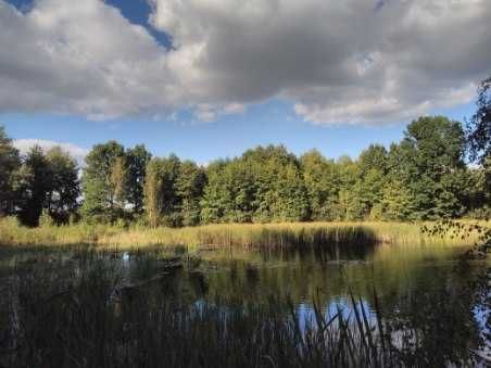 Działka rekreacyjna Bukowski Las. Zdjęcie 1