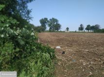 Działka inwestycyjna Wilczkowice. Zdjęcie 4