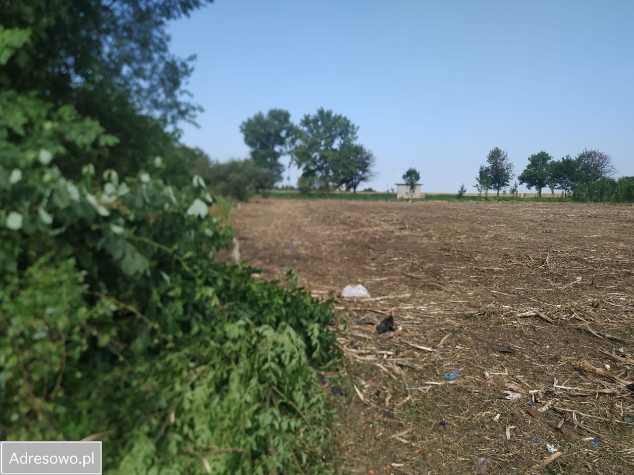 Działka inwestycyjna Wilczkowice. Zdjęcie 5