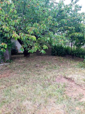 Działka rekreacyjna Gorzów Wielkopolski. Zdjęcie 1