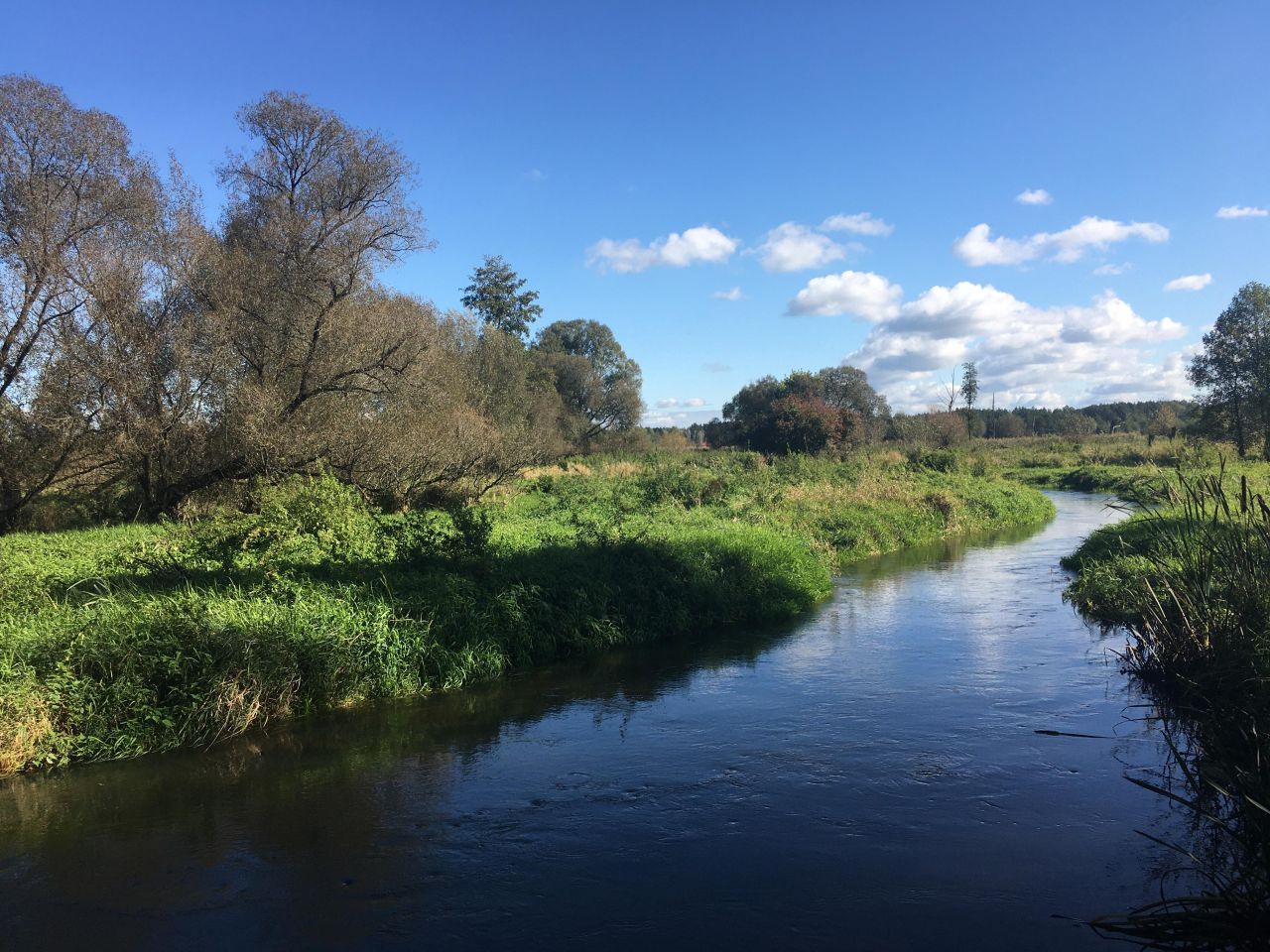 Działka rolna Żdżarki. Zdjęcie 10