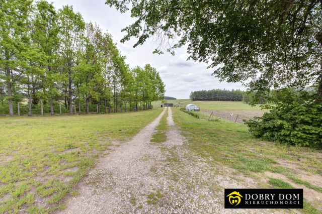 dom wolnostojący, 4 pokoje Czarna Wieś Kościelna. Zdjęcie 6