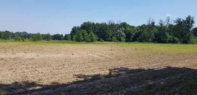 Działka rolna Gołkowice, ul. Na Górze. Zdjęcie 1