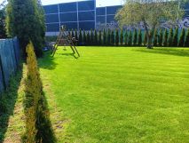 Działka rod Łódź Górna, ul. Romana. Zdjęcie 2