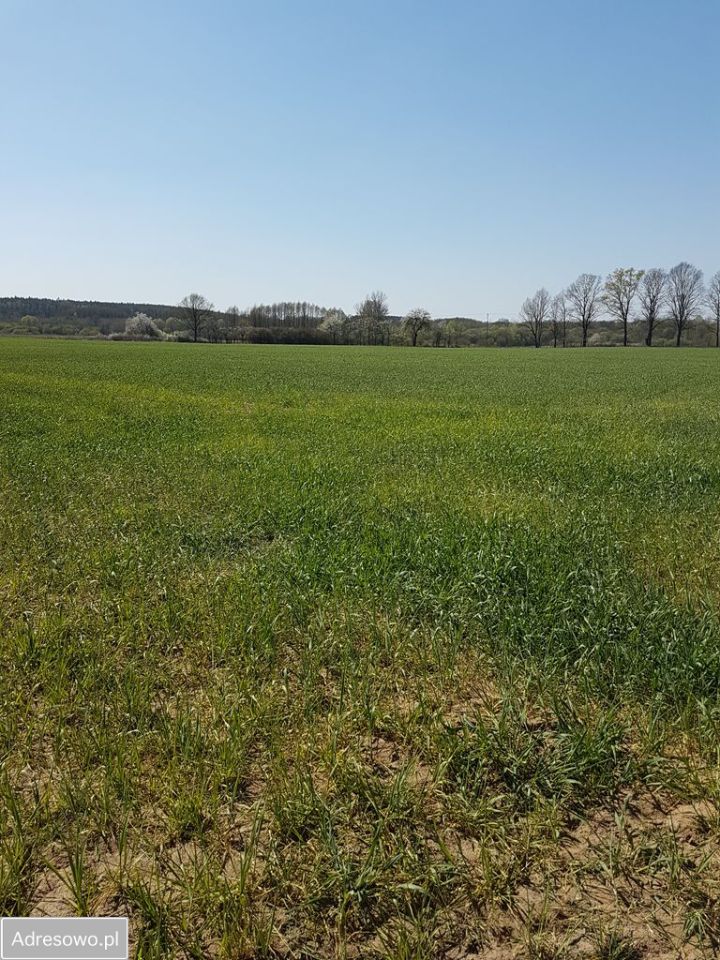 Działka rolna Raszówka, ul. Wincentego Witosa. Zdjęcie 2