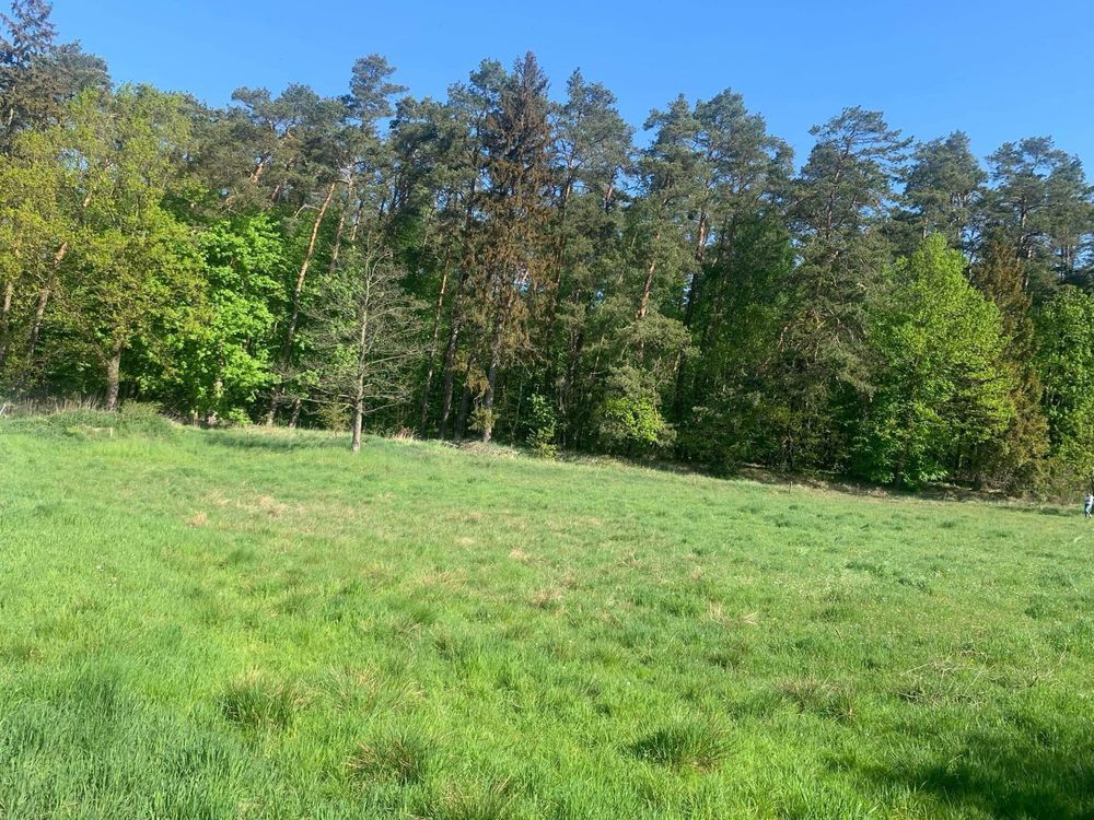 Działka rolno-budowlana Adamowo. Zdjęcie 3