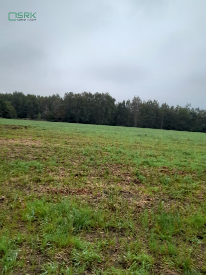 Działka inna Ruda Śląska, ul. Władysława Jagiełły. Zdjęcie 3