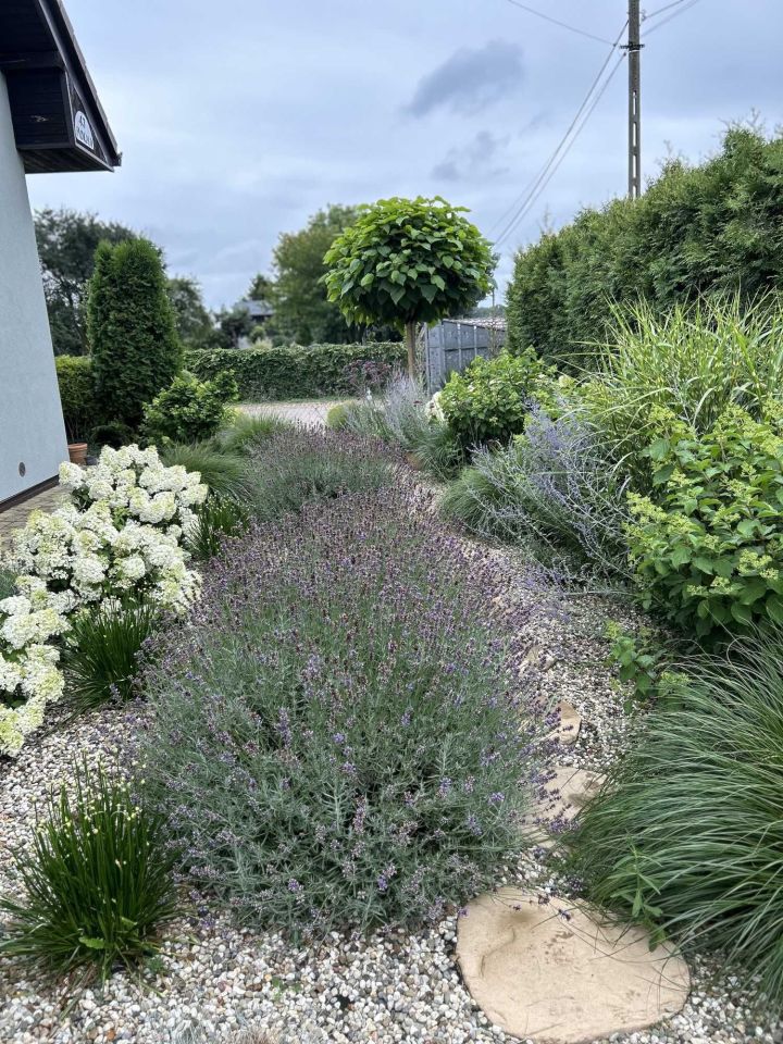 dom wolnostojący Wilcza. Zdjęcie 4