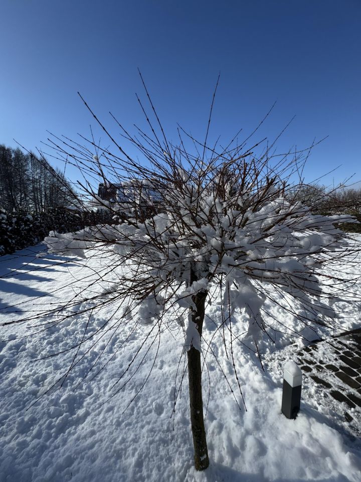 dom wolnostojący, 4 pokoje Gorzów Wielkopolski, ul. Strażacka. Zdjęcie 23