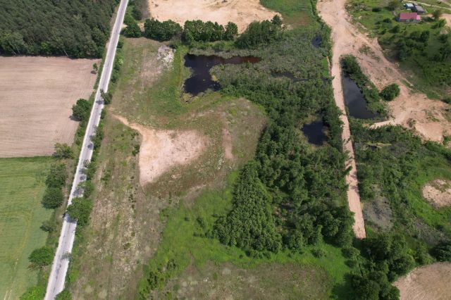 Działka rolno-budowlana Chojno. Zdjęcie 7