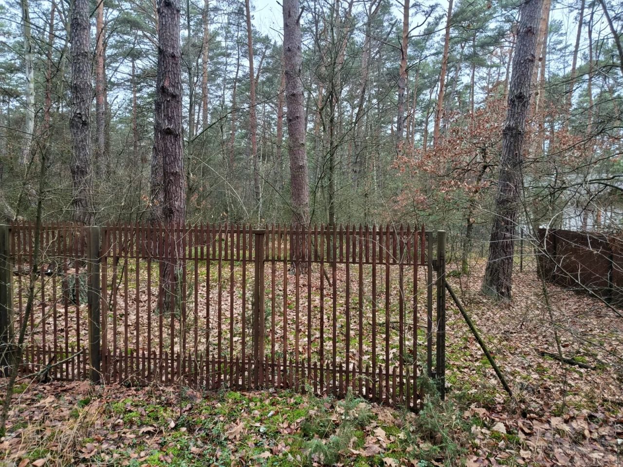 Działka leśna Osiedle Wilga, ul. Sarenek. Zdjęcie 4