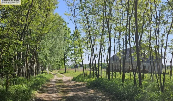 Działka budowlana Ławeczko Stare