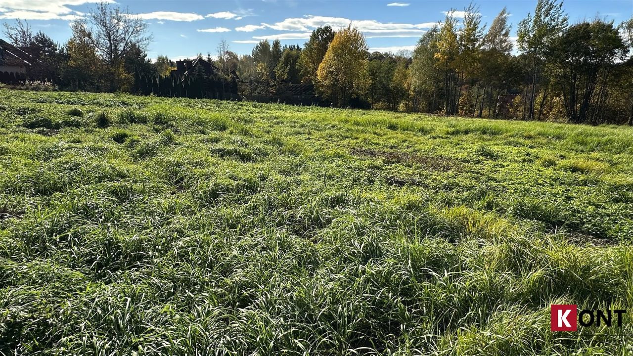 Działka inwestycyjna Włosań. Zdjęcie 3