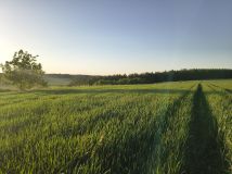 Działka rolna Batycze. Zdjęcie 1