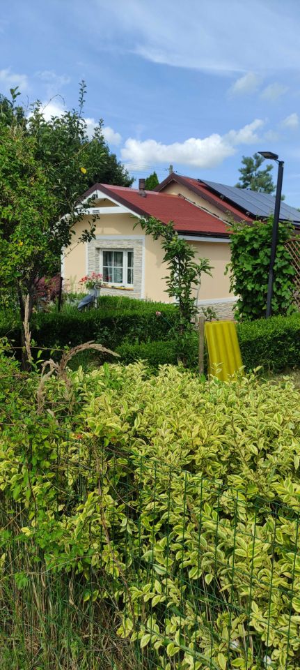 Działka rod Szczecin Bukowo. Zdjęcie 1