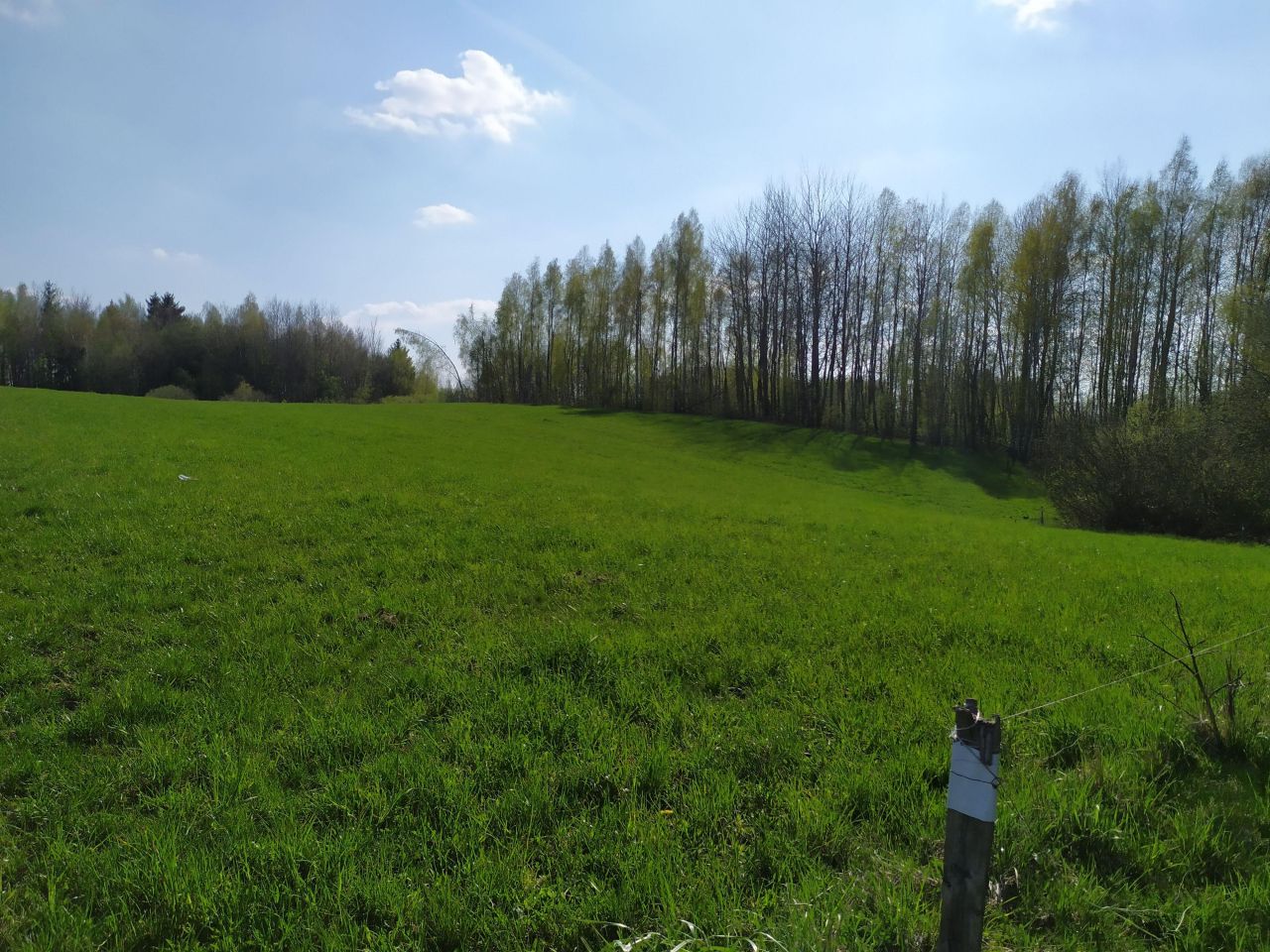 Działka rolna Użmauda. Zdjęcie 9