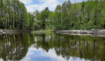 Działka rolna Sosnowo
