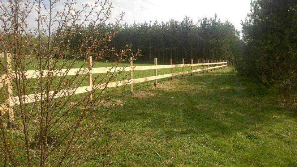 Działka budowlana Wola-Kolonia. Zdjęcie 4