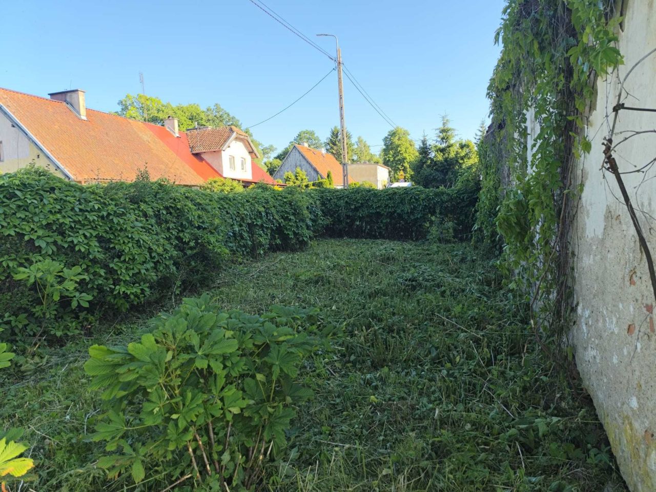 Działka budowlana Kotkowo. Zdjęcie 6