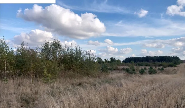 Działka inwestycyjna Kielno, ul. Oliwska