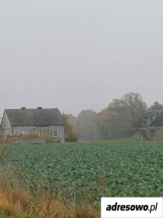 Działka siedliskowa Białuty. Zdjęcie 7