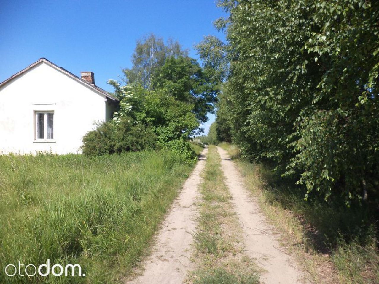 Działka siedliskowa Rędziny. Zdjęcie 15