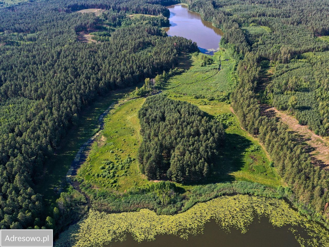 Działka rolna Jeleniowo. Zdjęcie 3