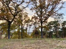 Działka budowlana Ostrowiec Świętokrzyski Centrum, ul. Stefana Żeromskiego. Zdjęcie 2