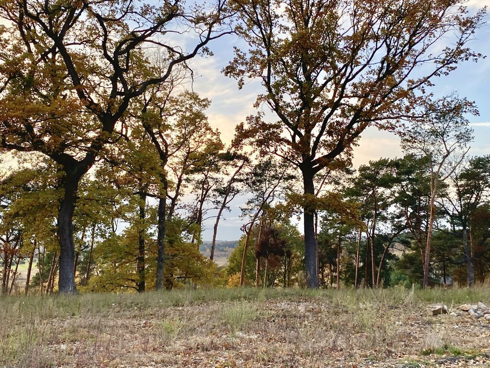 Działka budowlana Ostrowiec Świętokrzyski Centrum, ul. Stefana Żeromskiego. Zdjęcie 3