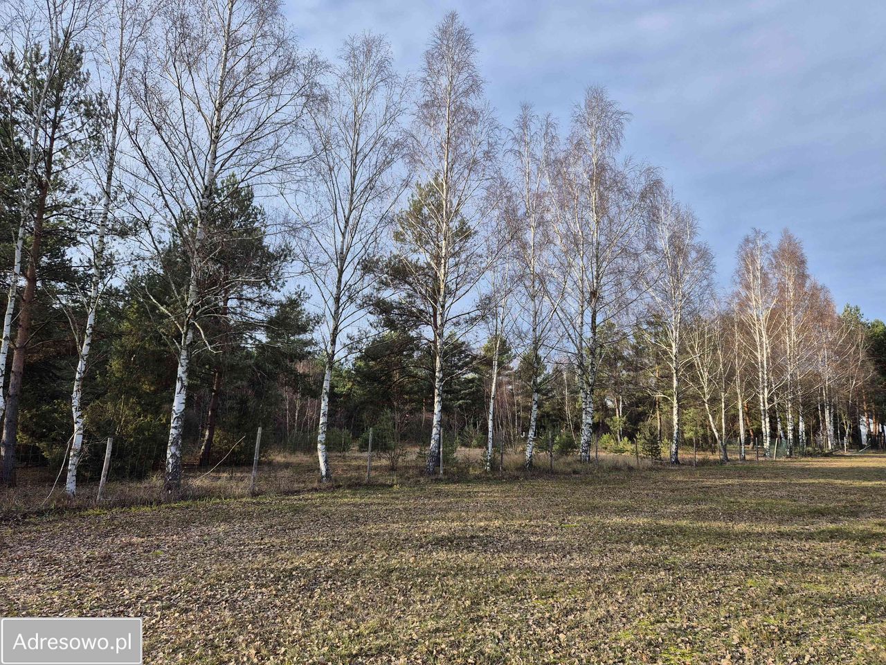 Działka rekreacyjna Biała Góra. Zdjęcie 8