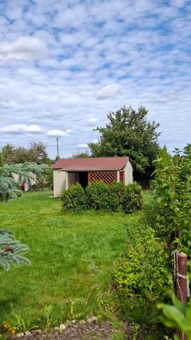 Działka rod Człuchów, ul. Jerzego z Dąbrowy. Zdjęcie 1