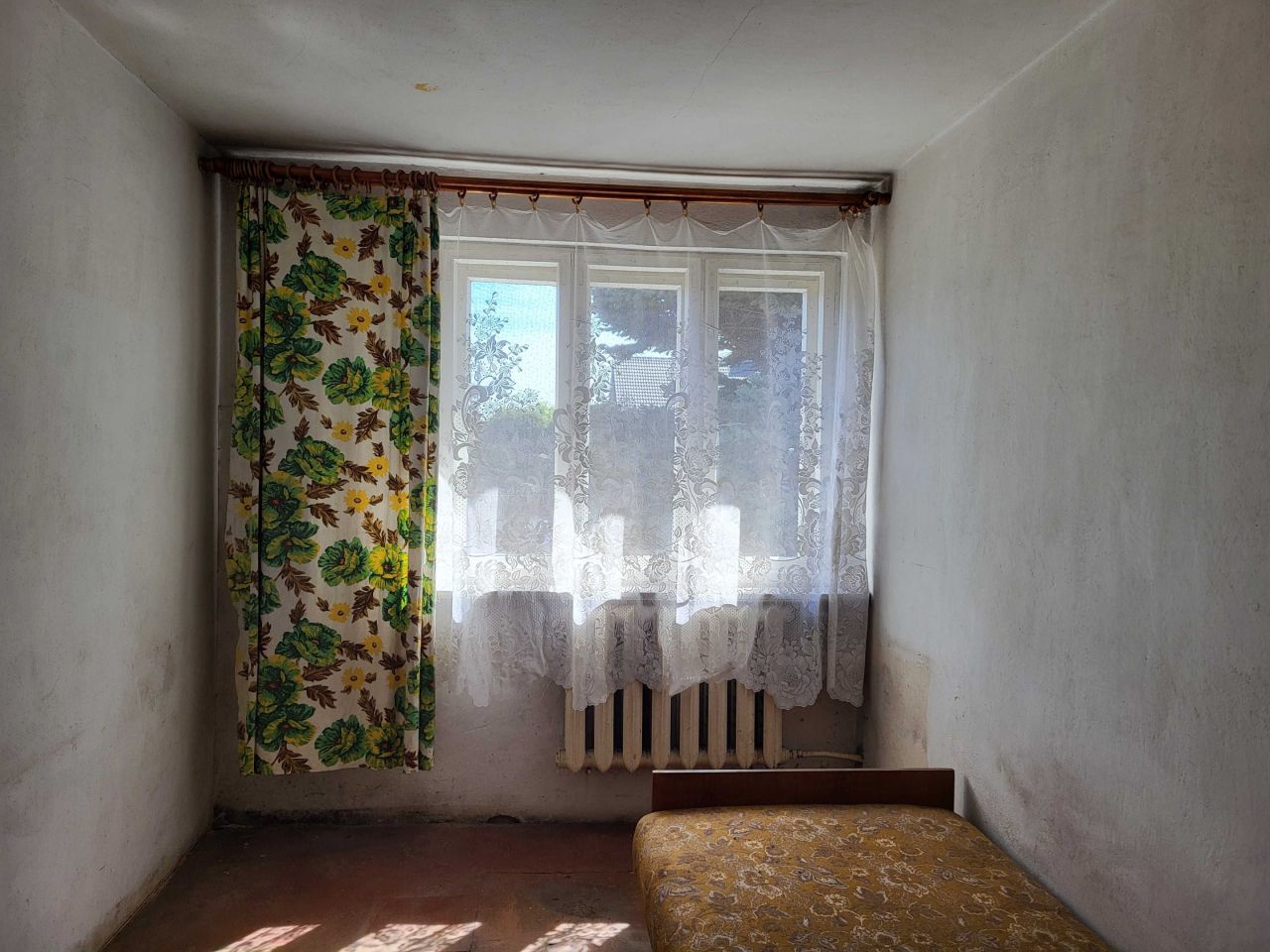 bliźniak Jawor. Zdjęcie 6