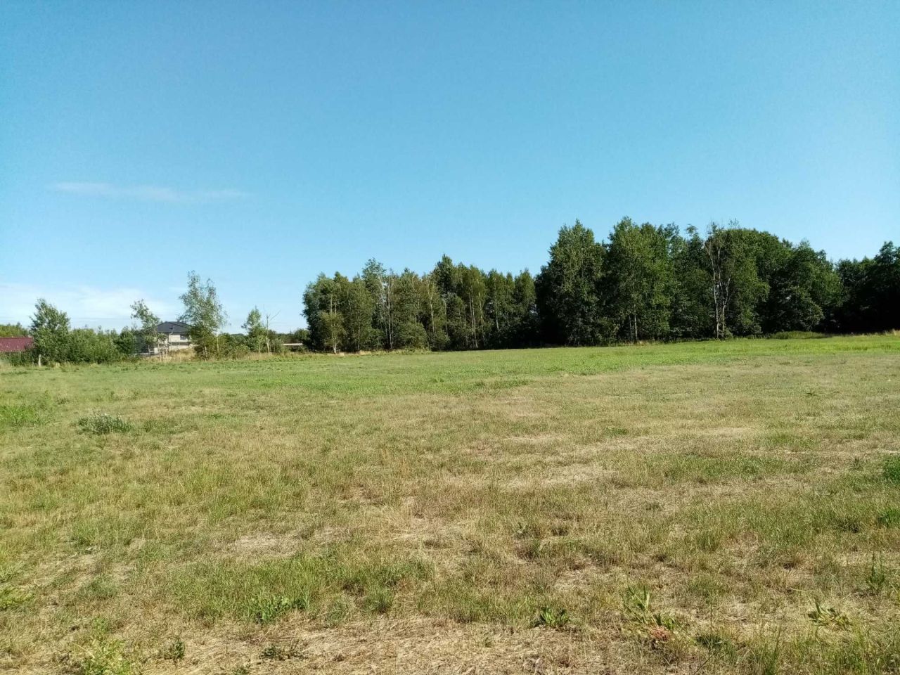 Działka budowlana Ziębikowo. Zdjęcie 1