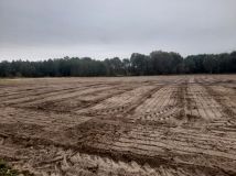 Działka budowlana Anielew. Zdjęcie 2