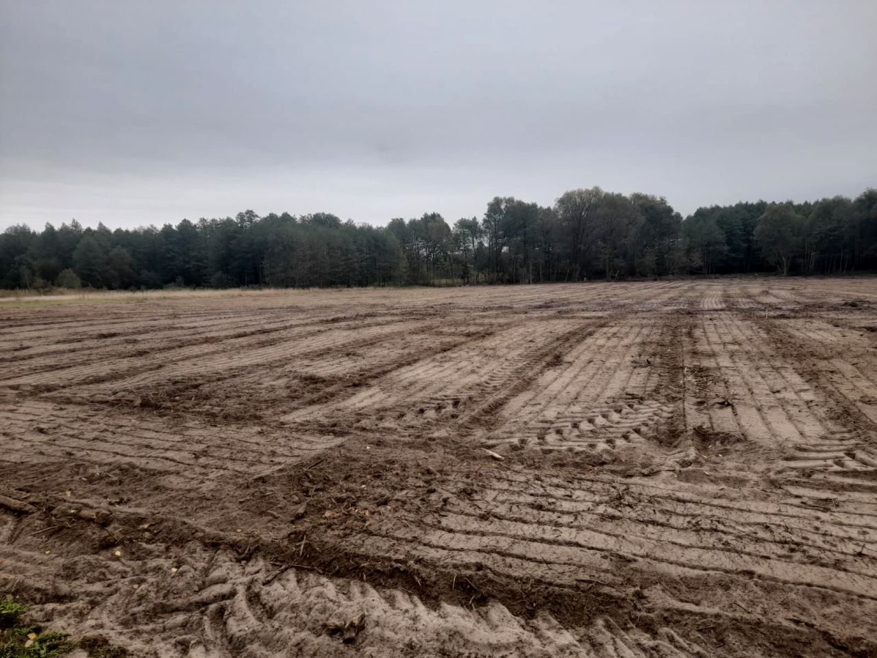 Działka budowlana Anielew. Zdjęcie 3