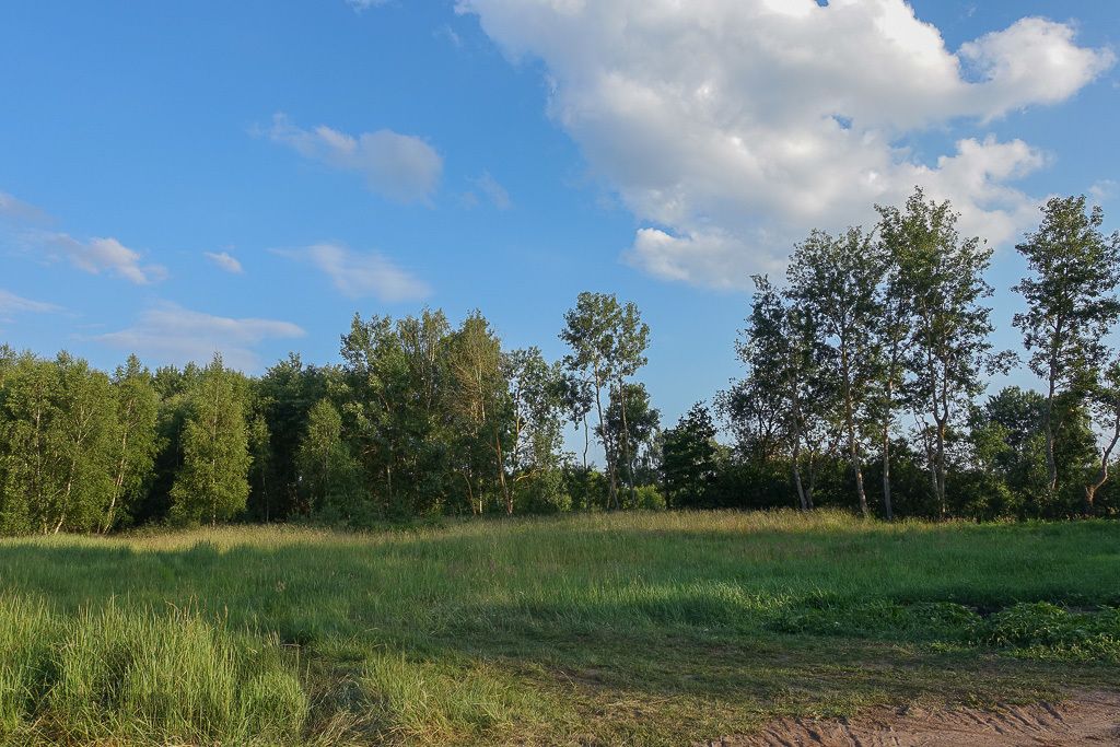 Działka budowlana Grzepnica. Zdjęcie 8