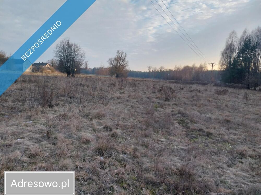 Działka rolna Marysin. Zdjęcie 5