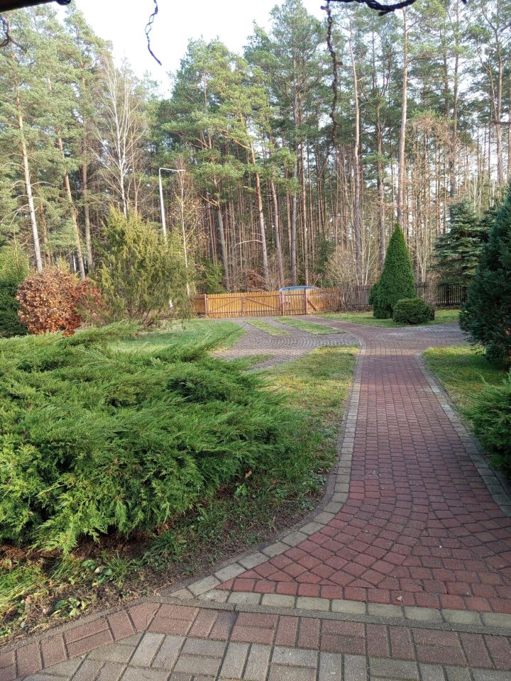 dom wolnostojący, 4 pokoje Płozy. Zdjęcie 9