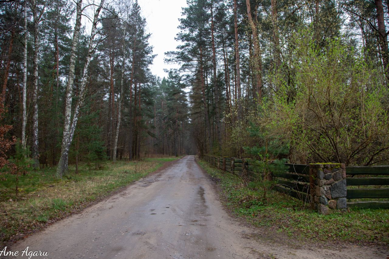 Działka budowlana Marózek. Zdjęcie 7