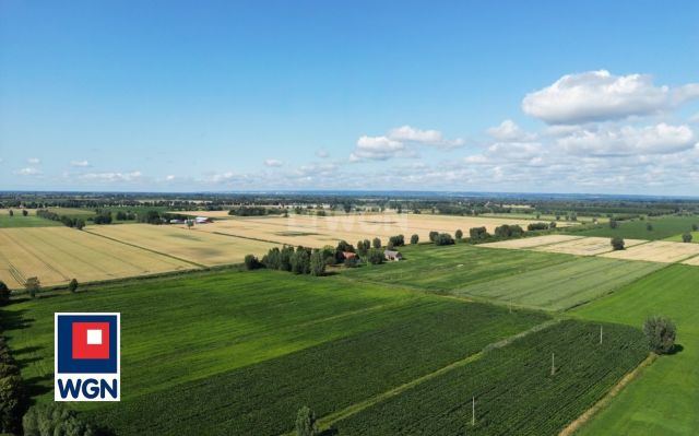 Działka rolna Kępniewo. Zdjęcie 6