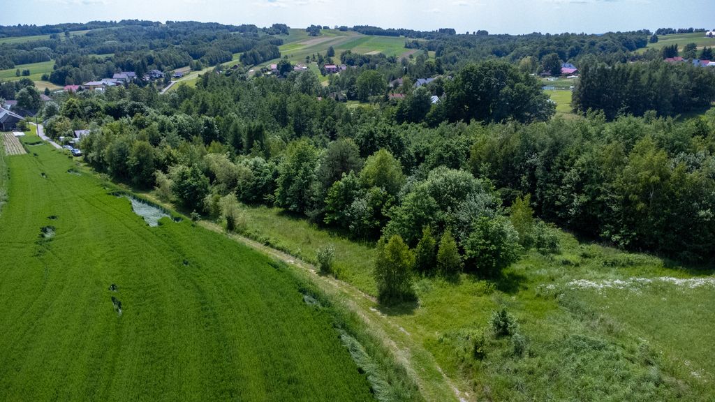 Działka rolno-budowlana Harta. Zdjęcie 7