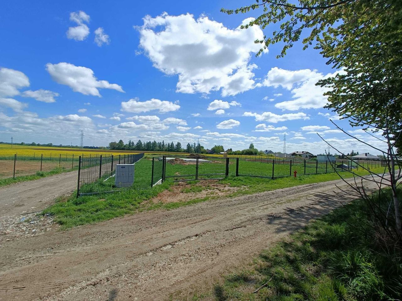 Działka budowlana Płoskie. Zdjęcie 4