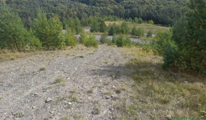Działka inna Katowice Kostuchna, ul. Tadeusza Boya-Żeleńskiego