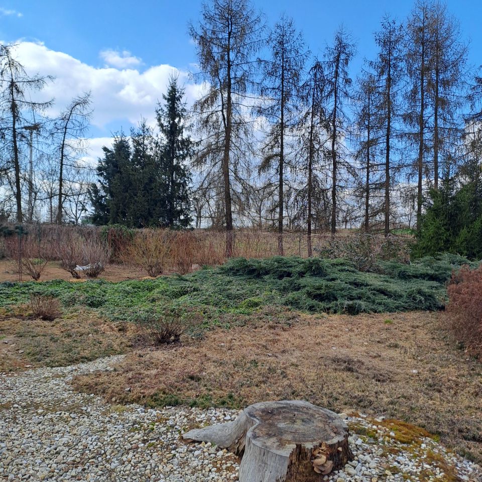 Działka budowlana Mała Wieś Dolna. Zdjęcie 9