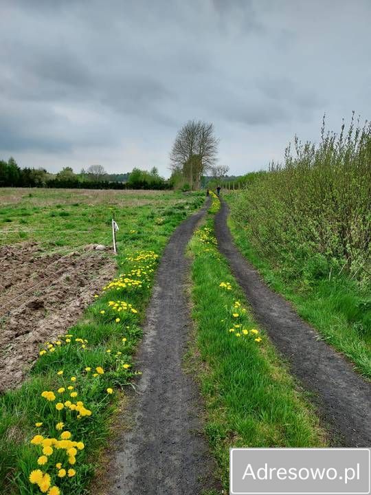 Działka budowlana Imno. Zdjęcie 5