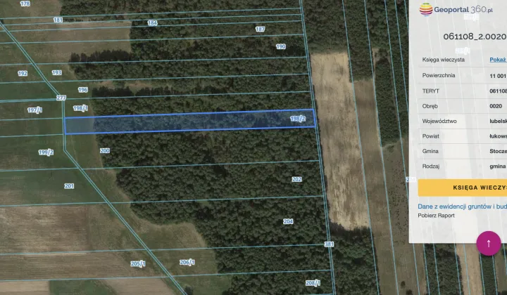 Działka leśna Rosy