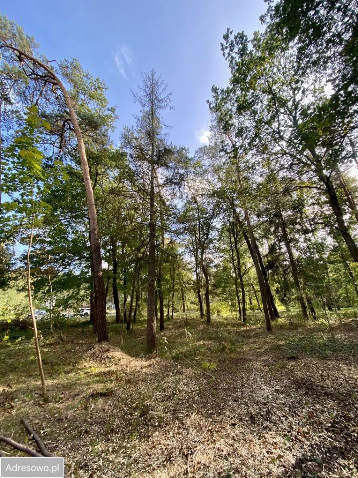 Działka budowlana Sokolniki-Las, ul. Prezydenta Gabriela Narutowicza. Zdjęcie 5