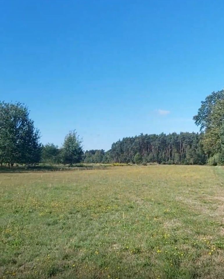 Działka rolno-budowlana Orpelów. Zdjęcie 6